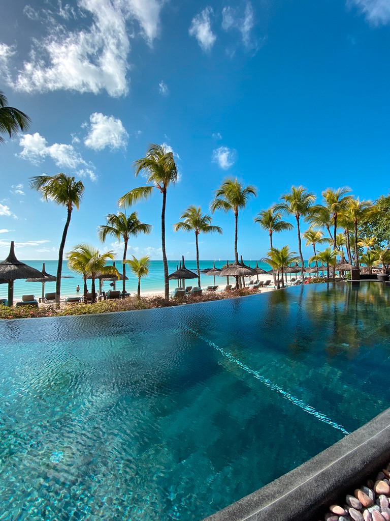 An infinity pool overlooking a palm-lined beach and turquoise ocean